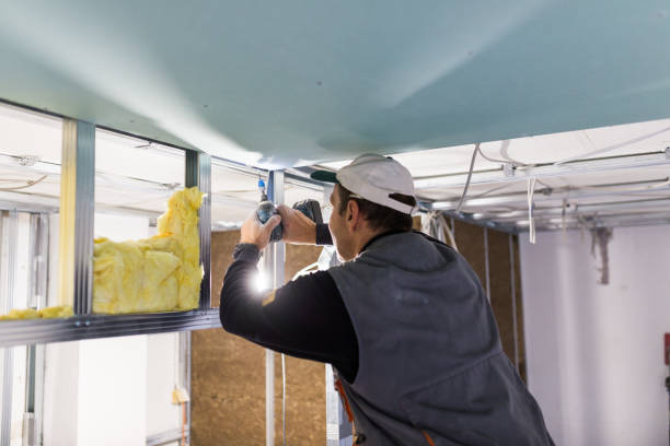 Best Eco-Friendly or Green Insulation Solutions  in Rosebud, TX